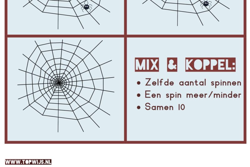 Mix en Koppel Rekenen met spinnen: Coöperatief leren voor kleuters en groep 3